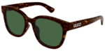 Gg1797sk 002 (2)