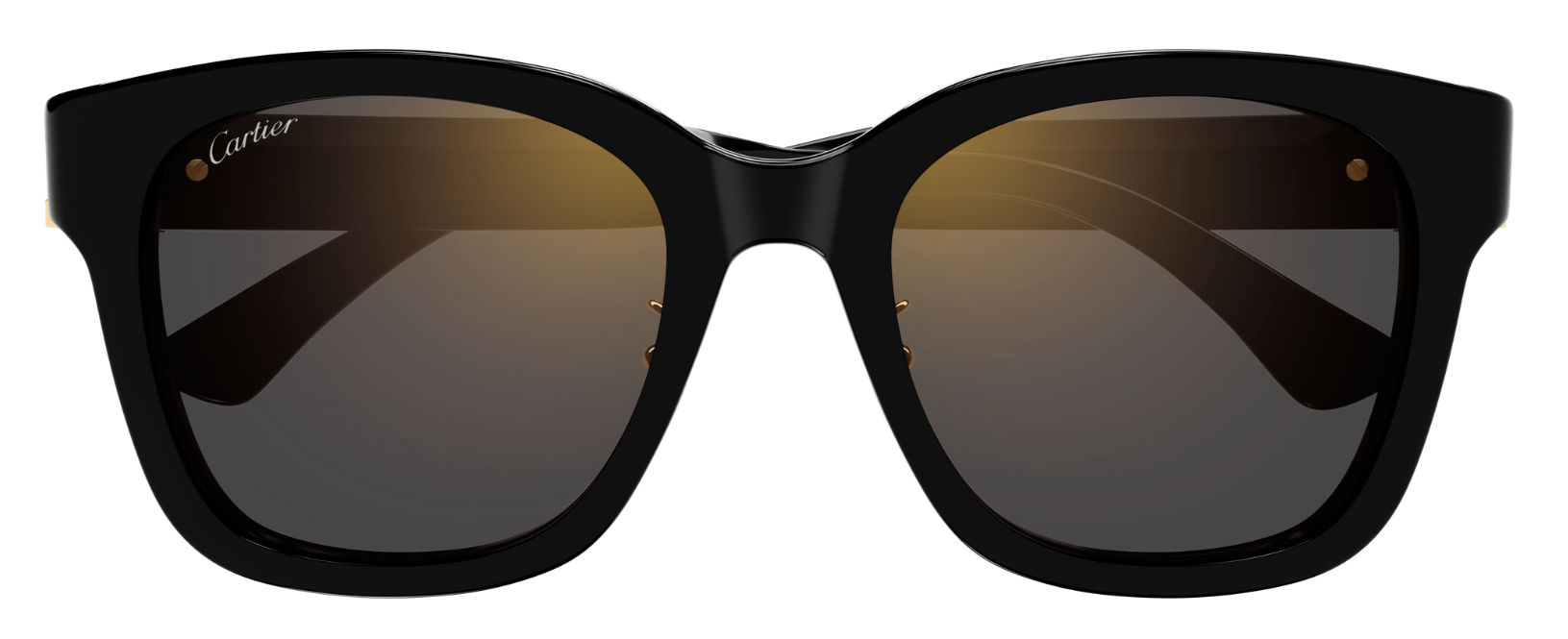 CT0589SA-001 Ct0589sa 001